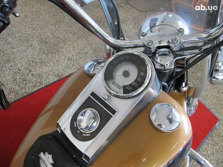 Harley-Davidson FLSTC Image 5